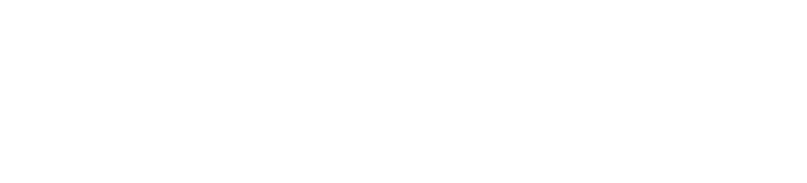 Eisenhower Foundation