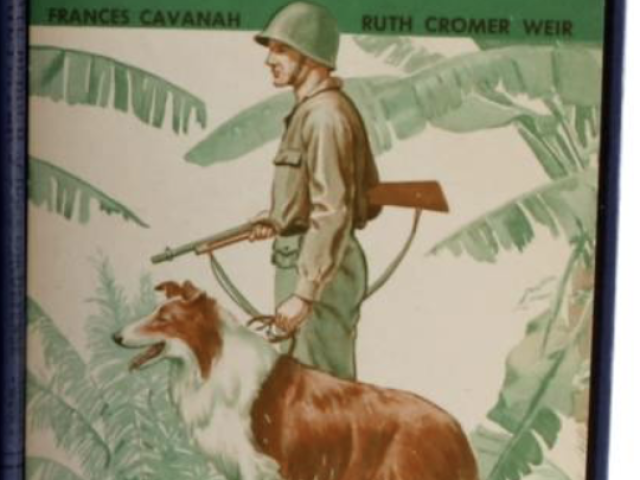 Illustrated Private Pepper book cover showing a soldier carrying a rifle with a dog next to him.