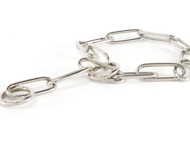 Metal chain dog collar with a circular fastening ring.