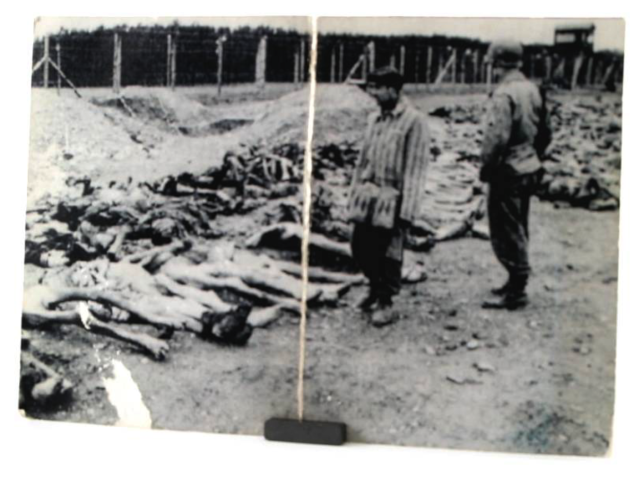 American soldier inspecting bodies at a liberated concentration camp.