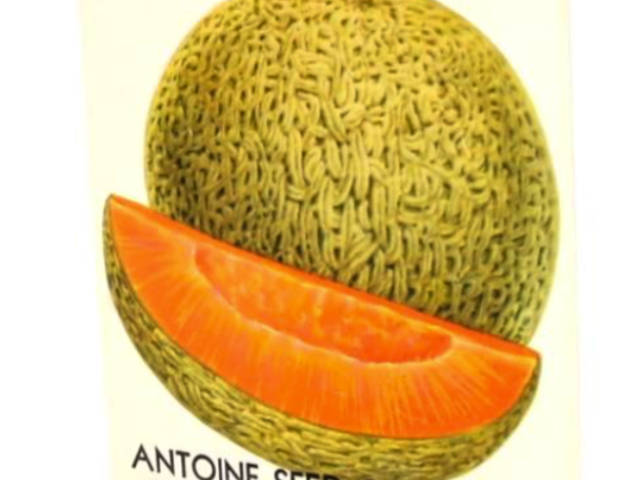 Whole muskmelon and an orange melon slice displayed on a white background.