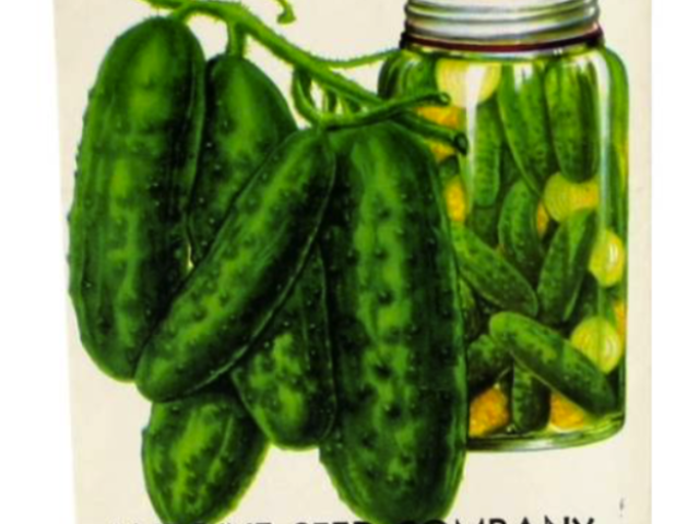 Green cucumbers and jarred cucumbers shown on a cucumber seed packet.