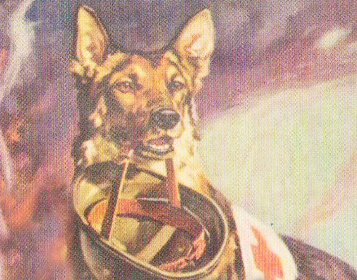 Illustration of a German shepherd used for a Dogs for Defense lesson.