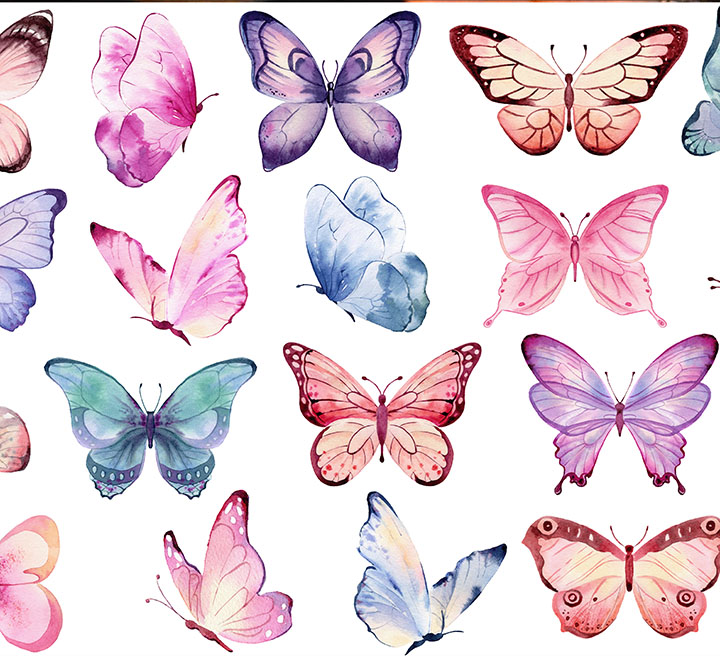 Collection of colorful illustrated butterflies arranged on a white background.